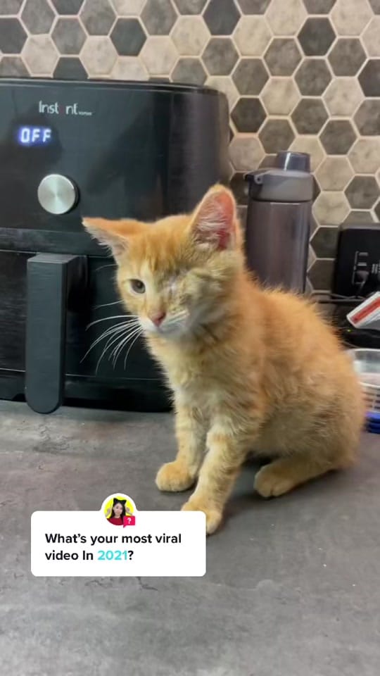 Post 10 by Joshua Robert Couchenour on TikTok (video)