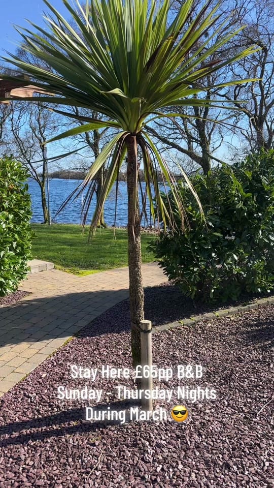 Post 7 by Rossharbour Resort on TikTok (video)