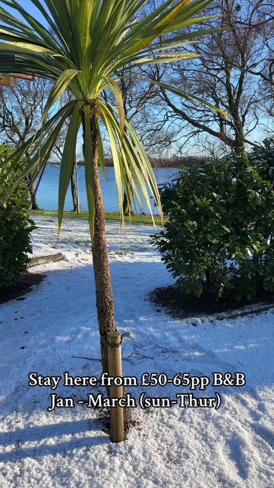 Post 10 by Rossharbour Resort on TikTok (video)