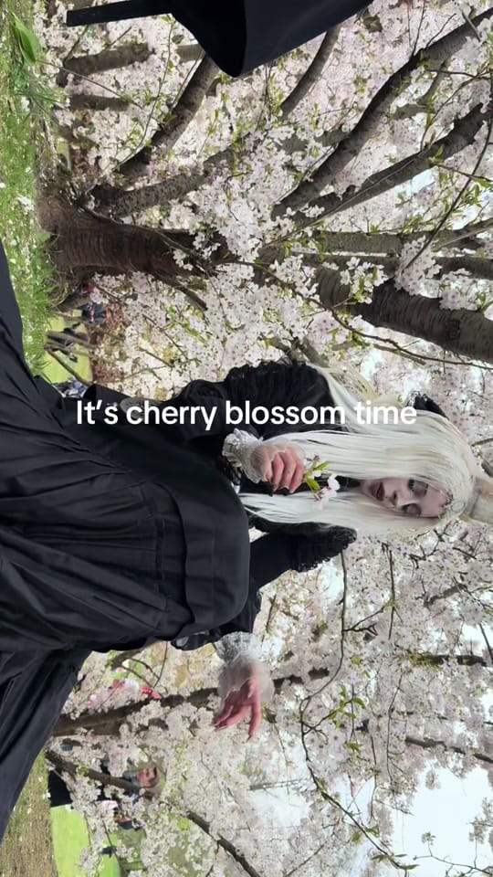 Post 7 by yzarcfae on TikTok (video)