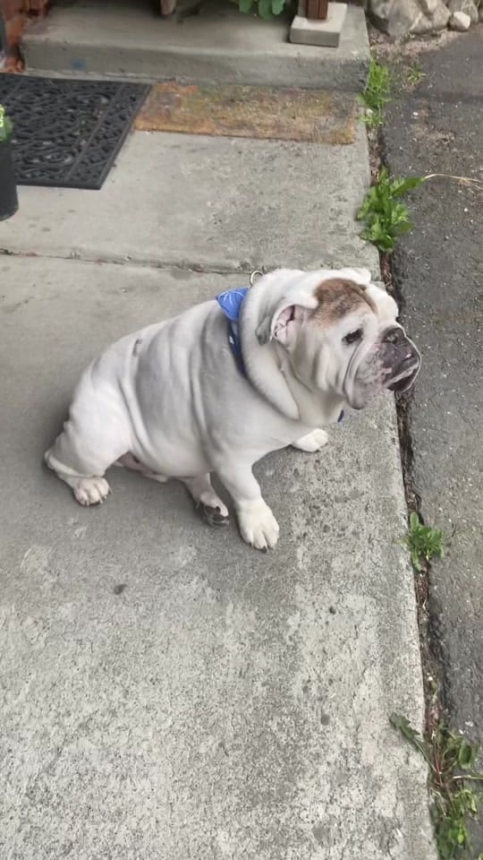 Post 6 by Eli Yarian on TikTok (video)