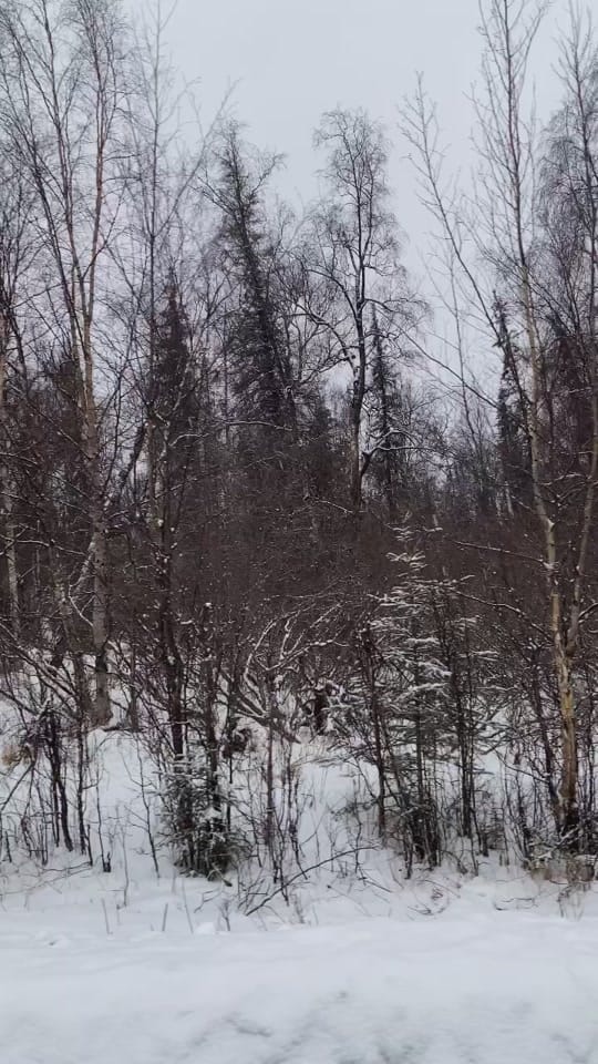 Post 8 by Eli Yarian on TikTok (video)