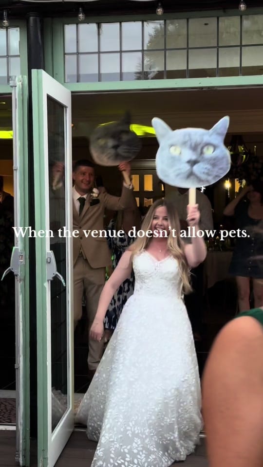 Post 6 by thecontentcollections on TikTok (video)