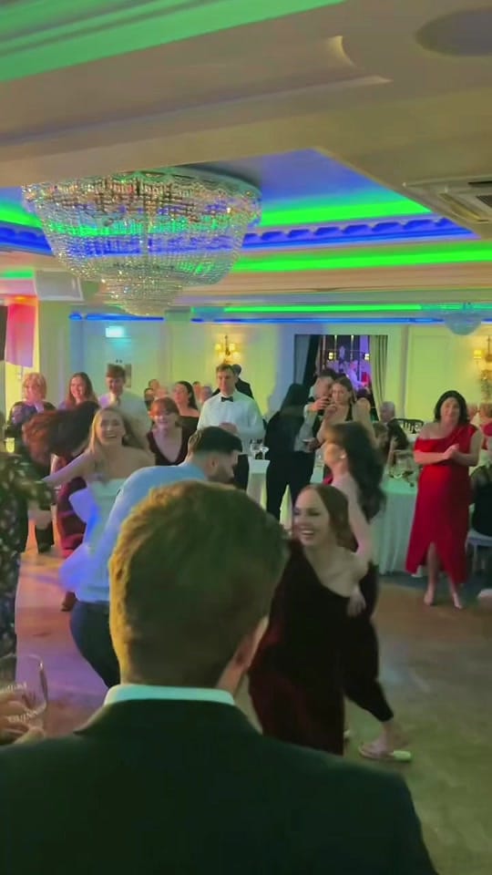 Post 5 by Flog the Dog on TikTok (video)