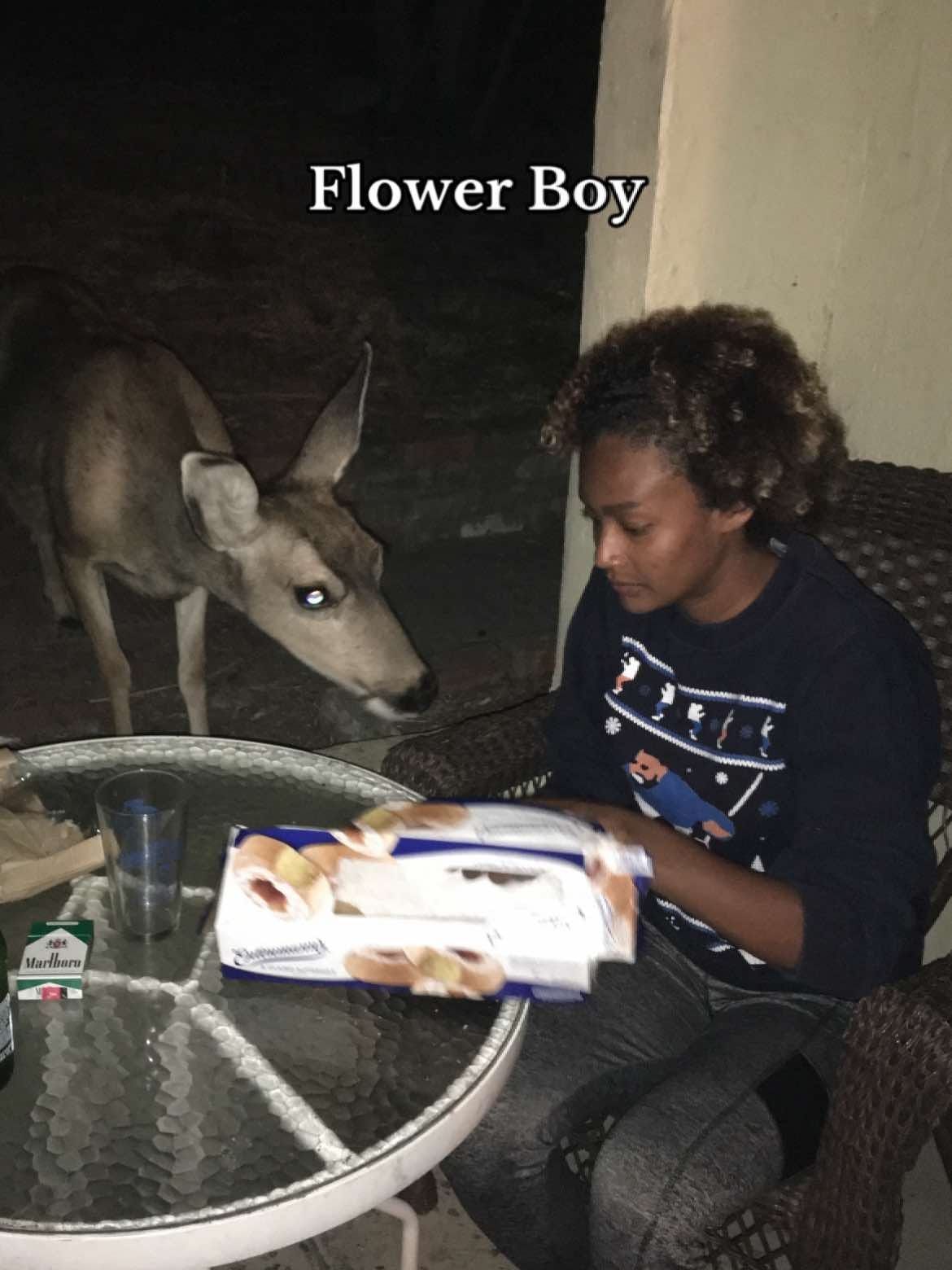Post 2 by Kalogenic 🌟 on TikTok (video)