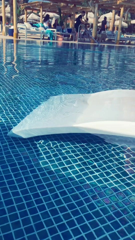 Post 10 by Jackyxsecretx on TikTok (video)