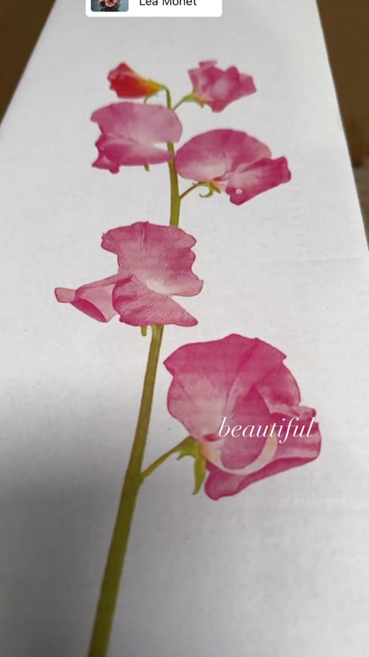 Post 3 by Vintage Violet florist on TikTok (video)