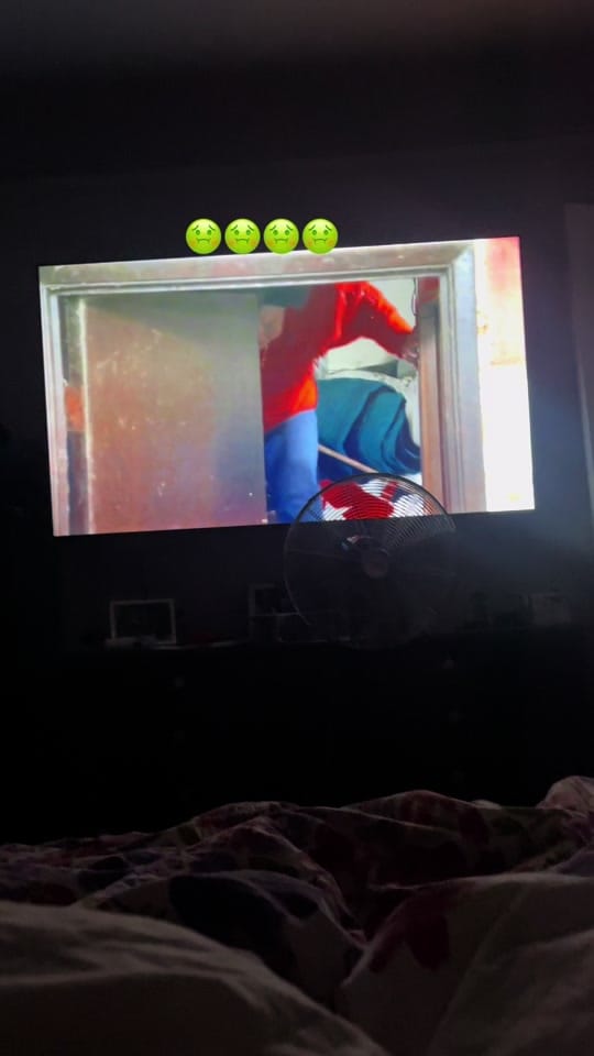 Post 6 by Muse_Roebuck on TikTok (video)