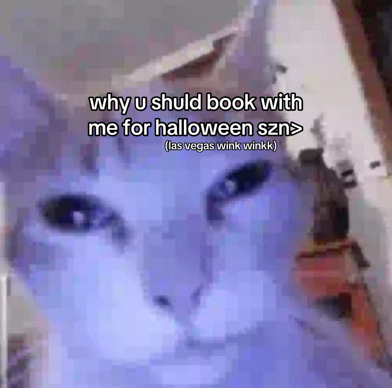 Post 8 by sadz:3 on TikTok (video)
