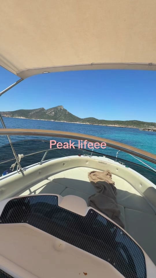 Post 9 by marlena on TikTok (video)