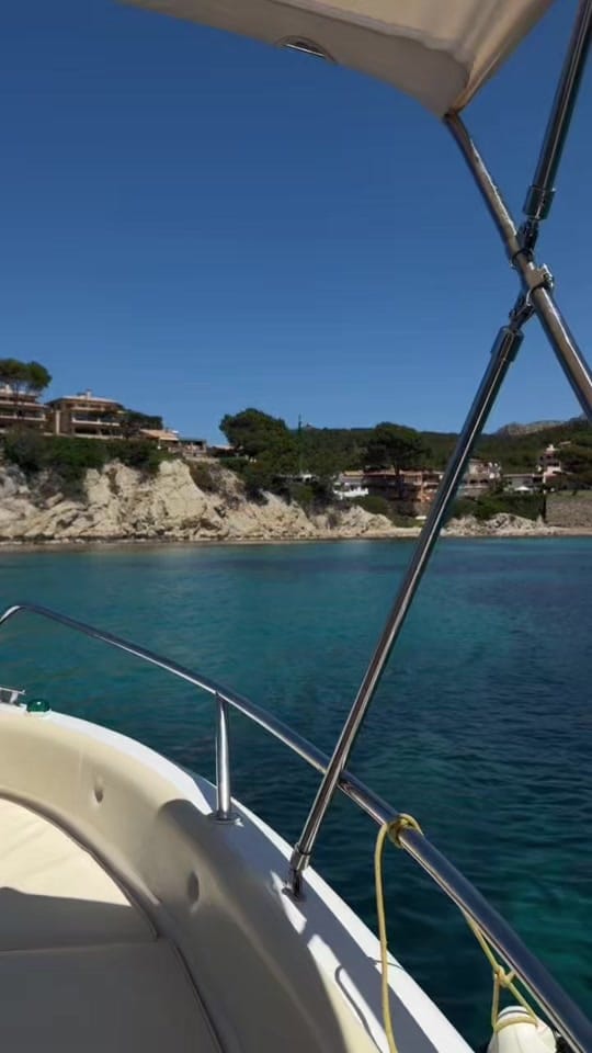 Post 7 by marlena on TikTok (video)