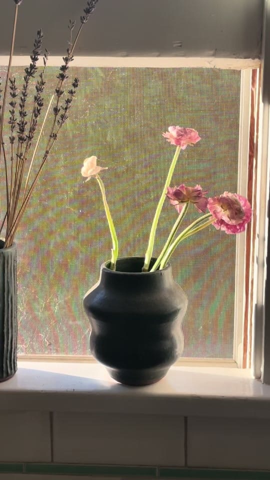 Post 3 by Snail on a Brick on TikTok (video)