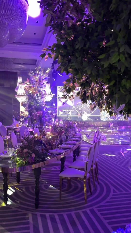 Post 7 by Sweet Hollywood on TikTok (video)