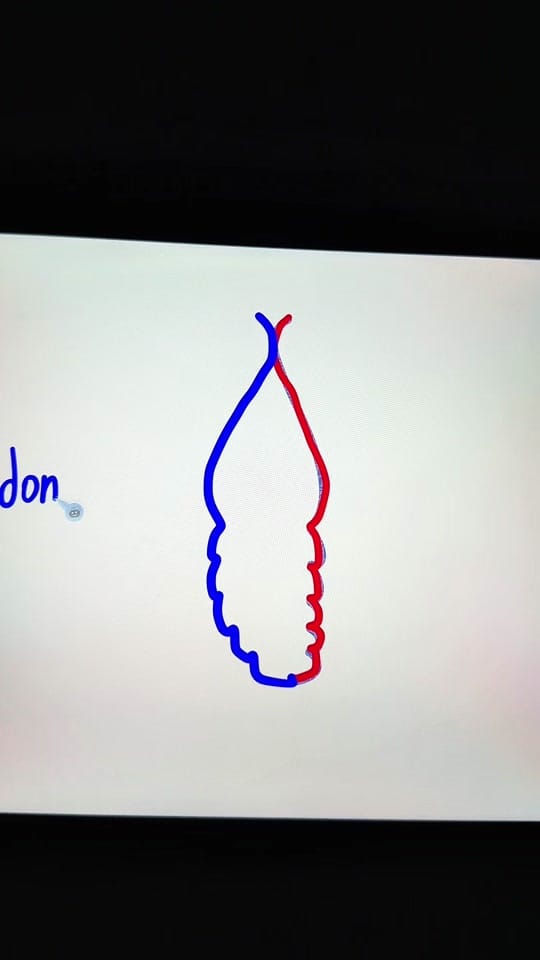 Post 1 by art_kenny on TikTok (video)