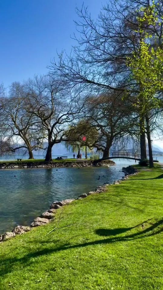 Post 6 by Khatera Catering Services on TikTok (video)