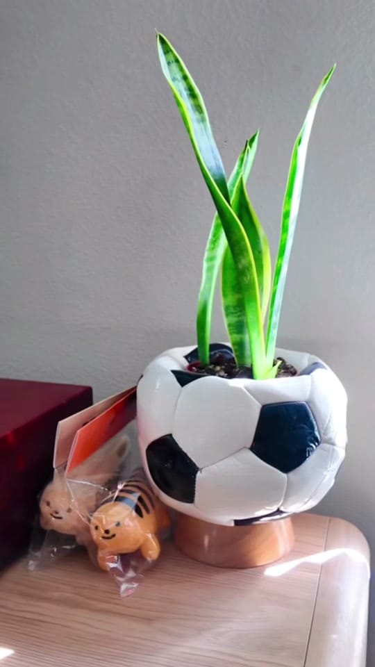 Post 7 by anomalyvic on TikTok (video)