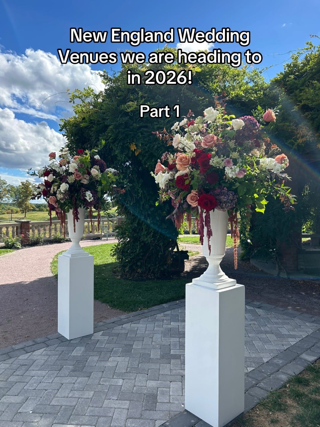 Post 8 by Little Blooms on TikTok (video)