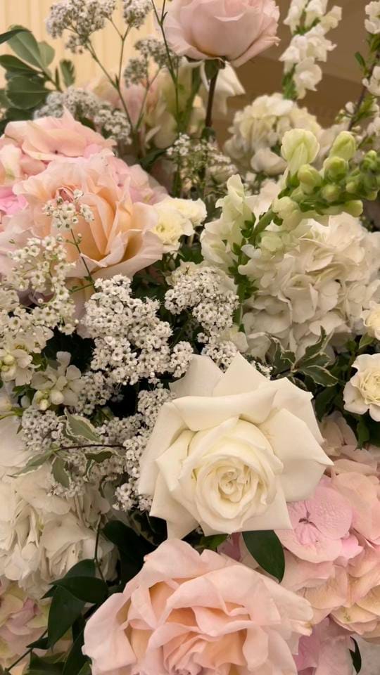 Post 5 by Little Blooms on TikTok (video)