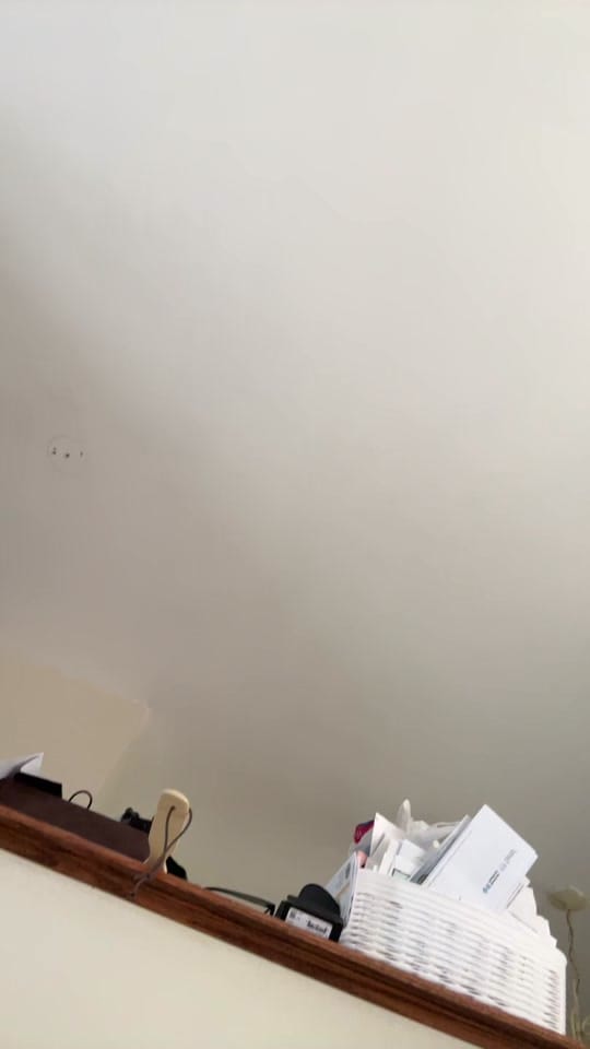 Post 3 by Little Blooms on TikTok (video)