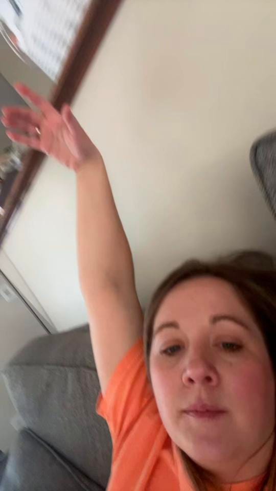 Post 7 by Little Blooms on TikTok (video)