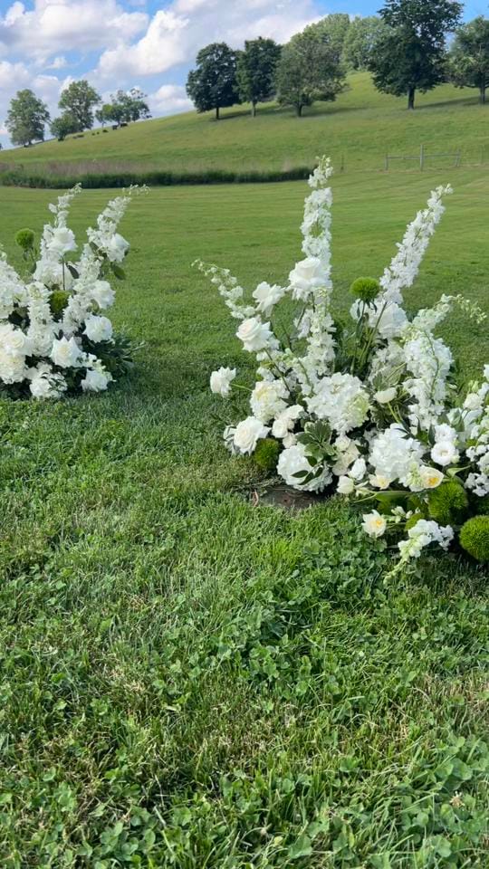 Post 2 by Little Blooms on TikTok (video)