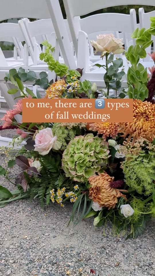 Post 10 by Little Blooms on TikTok (video)