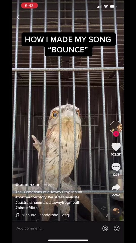 Post 5 by Kristiyan-Daniel on TikTok (video)