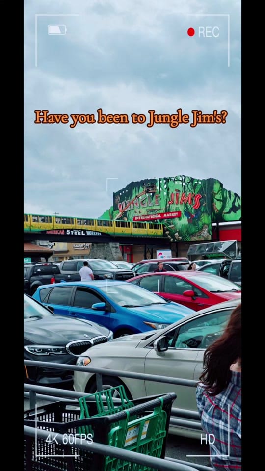 Post 7 by ℜ𝔬𝔡𝔫𝔢𝔶 on TikTok (video)