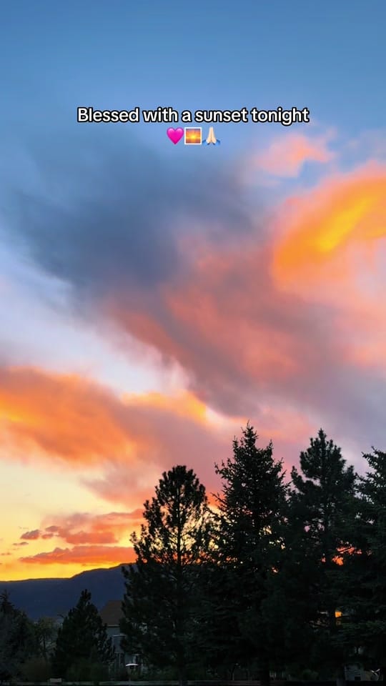 Post 7 by Sierra DeGroote on TikTok (video)