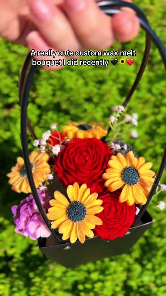 Post 10 by Sierra DeGroote on TikTok (video)