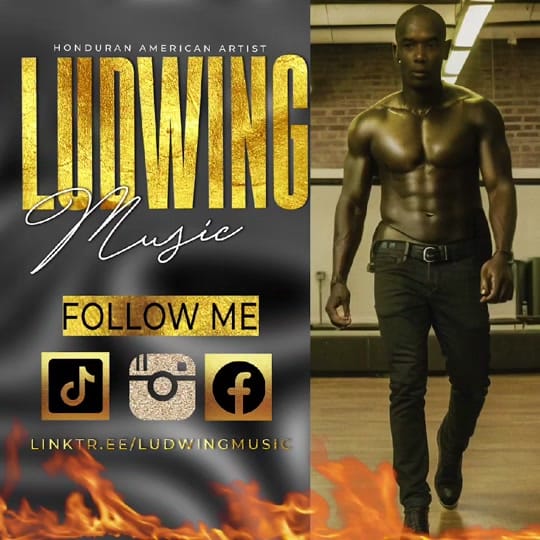 Post 9 by Ludwing musica on TikTok (video)