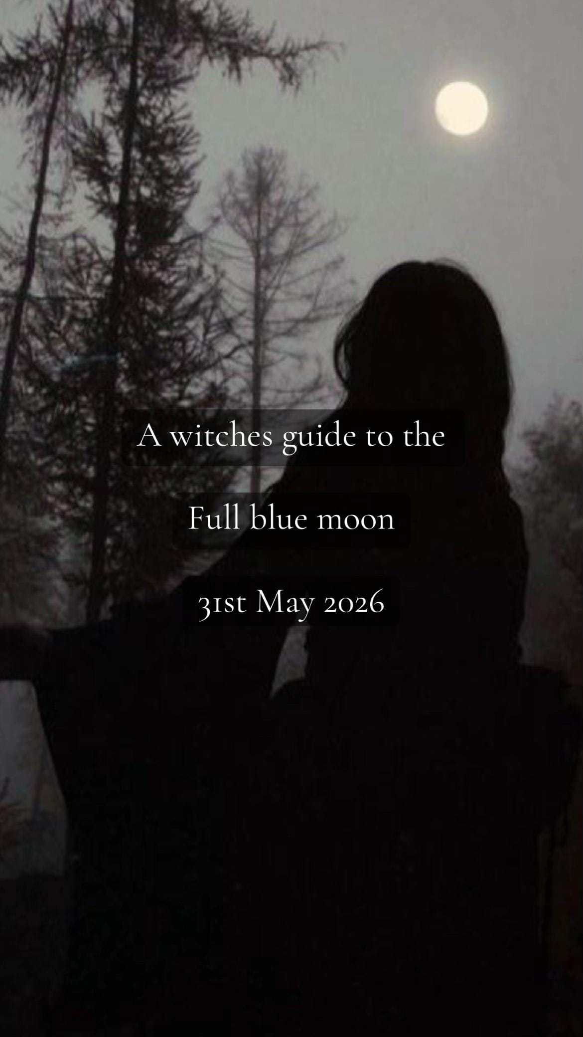 Post 5 by The_westhampstead_witch on TikTok (video)