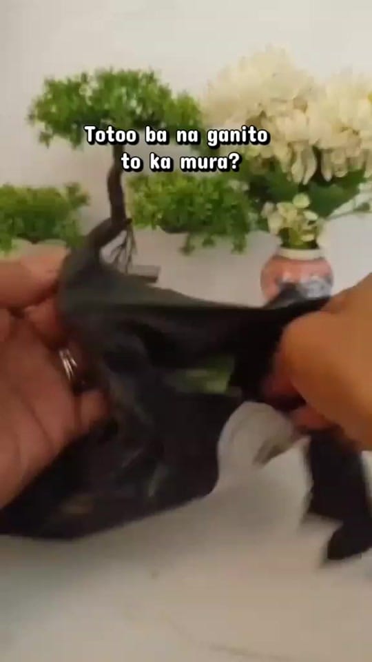 Post 7 by cecilleespinoza on TikTok (video)