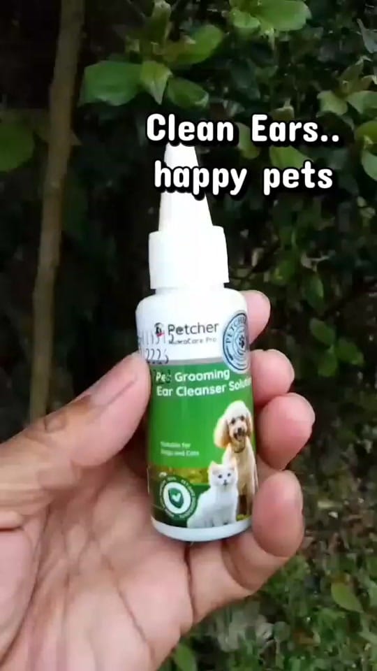 Post 10 by cecilleespinoza on TikTok (video)