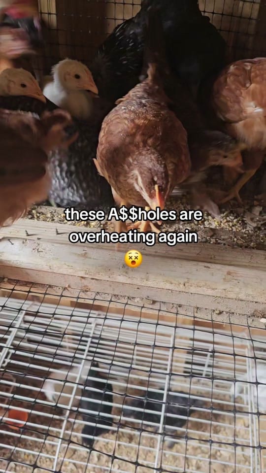 Post 5 by AJ      ❌️ on TikTok (video)