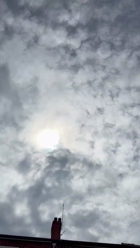 Post 4 by Deens Fried Chicken 🐔 on TikTok (video)