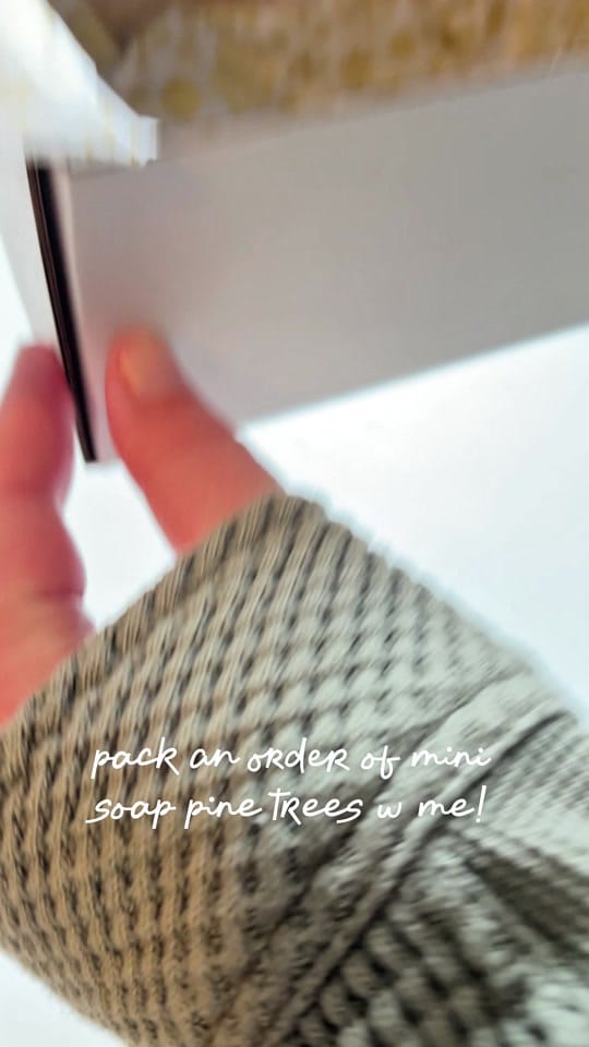 Post 8 by hopeeverlastinggoods on TikTok (video)