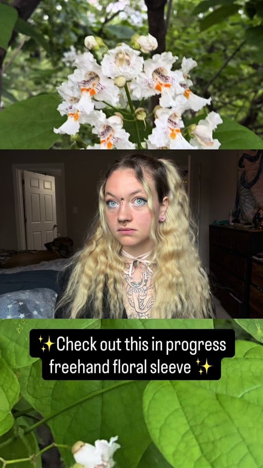Post 3 by 3eggsinatrenchcoat on TikTok (video)