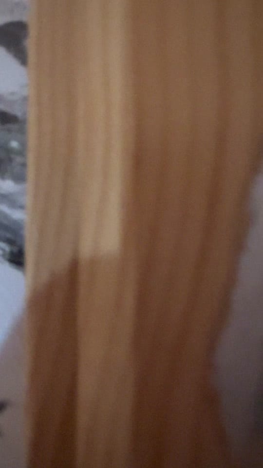Post 2 by Shark on TikTok (video)