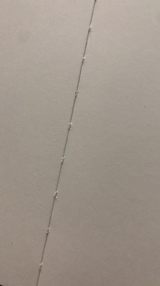 Post 8 by Shark on TikTok (video)