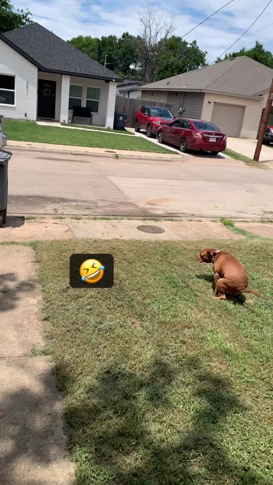 Post 1 by SouthDallas KeKe on TikTok (video)