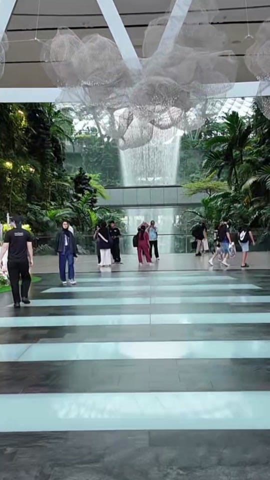 Post 5 by LFC Retail on TikTok (video)