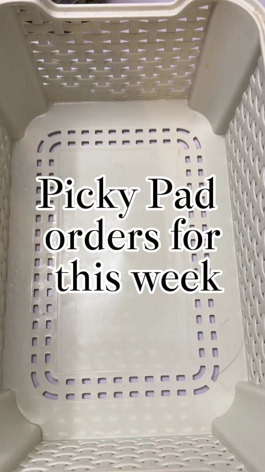 Post 7 by Strawberry Moon Studios on TikTok (video)