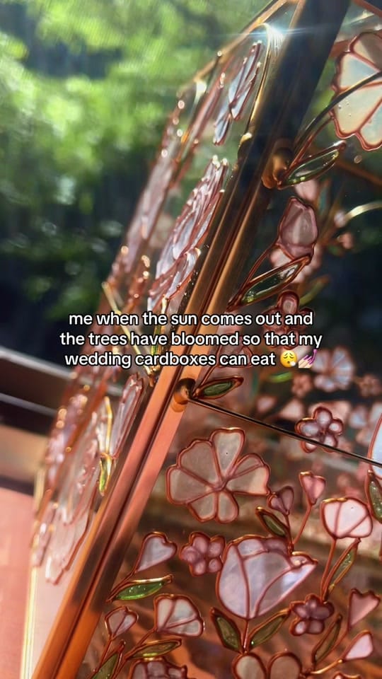 Post 5 by Mikaela Whaley on TikTok (video)