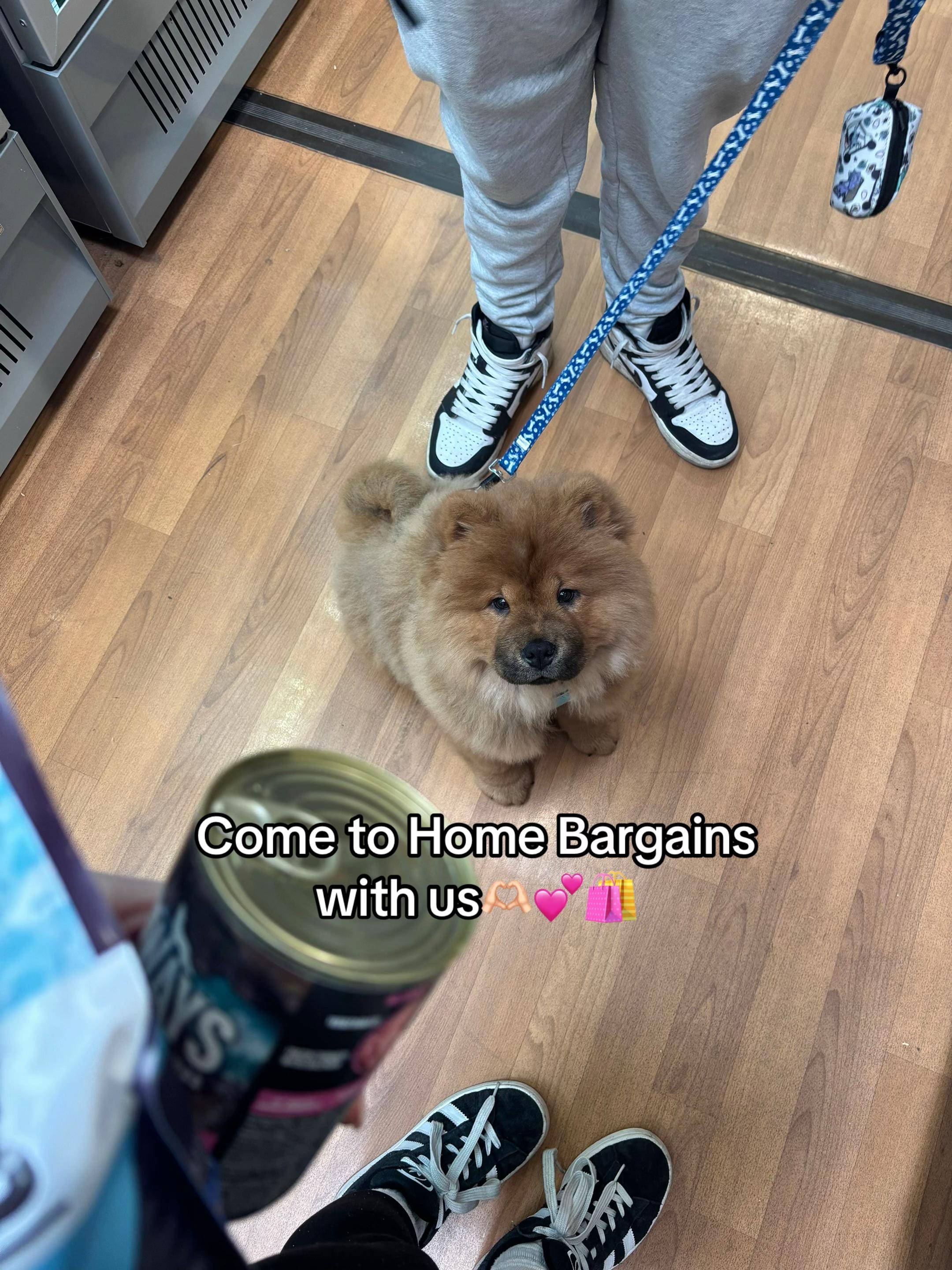 Post 1 by Shannon and Bruno🐶🩵 on TikTok (video)