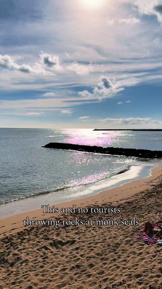 Post 3 by Aloha de Mele on TikTok (video)