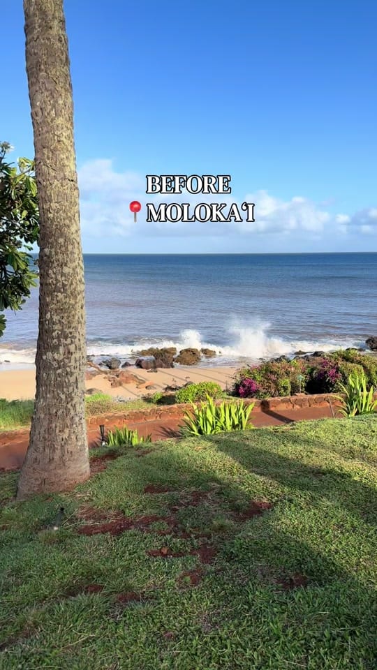 Post 1 by Aloha de Mele on TikTok (video)