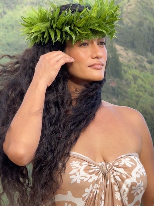 Post 9 by Aloha de Mele on TikTok (video)