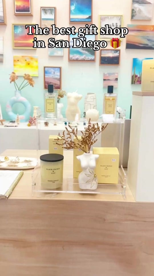 Post 6 by stefaniebalesfineart on TikTok (video)
