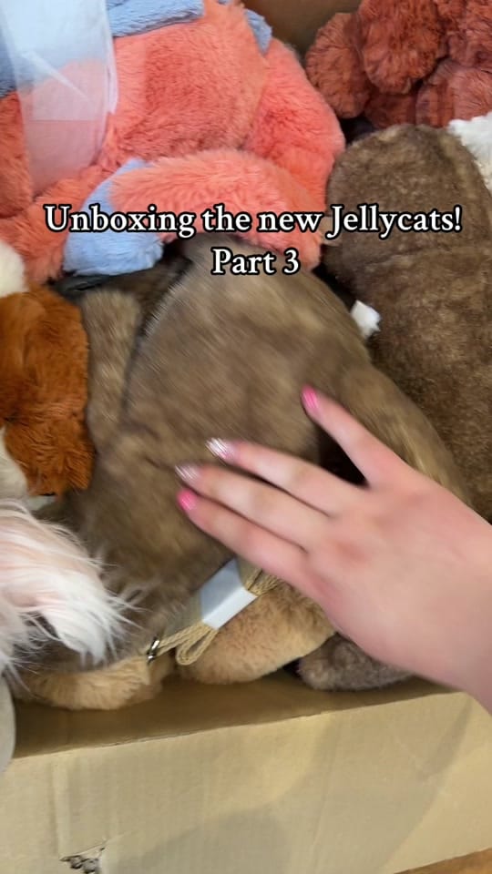 Post 10 by Dizzyware Toys&Gifts🧸 on TikTok (video)